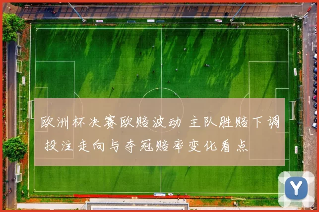 欧洲杯决赛欧赔波动 主队胜赔下调 投注走向与夺冠赔率变化看点