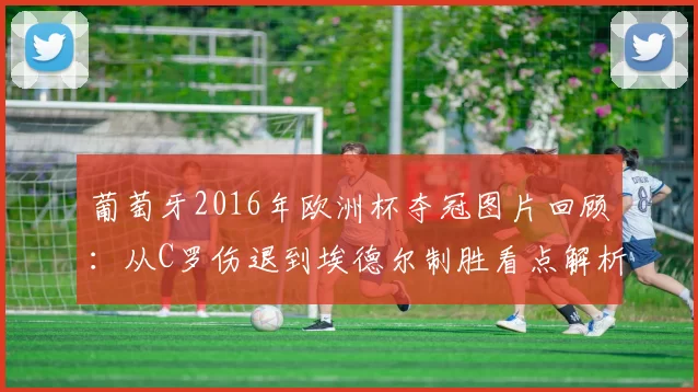 葡萄牙2016年欧洲杯夺冠图片回顾:从C罗伤退到埃德尔制胜看点解析