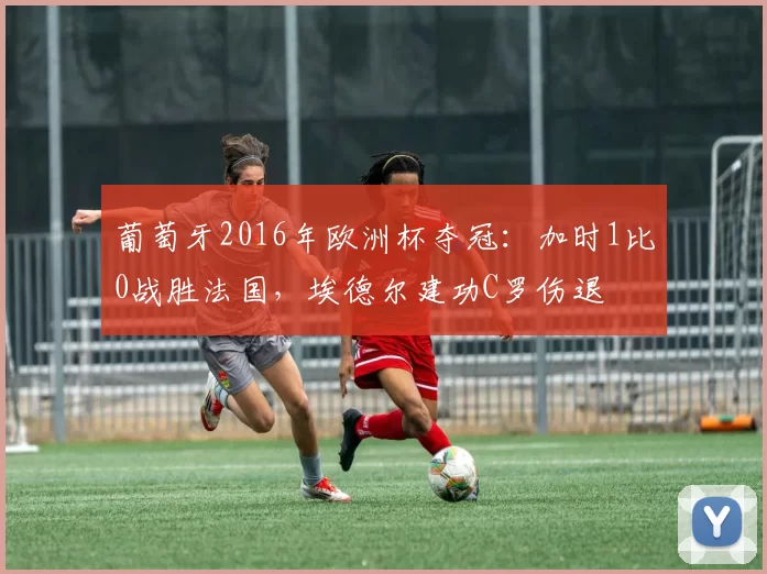 葡萄牙2016年欧洲杯夺冠:加时1比0战胜法国,埃德尔建功C罗伤退