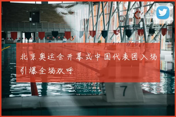 北京奥运会开幕式中国代表团入场引爆全场欢呼