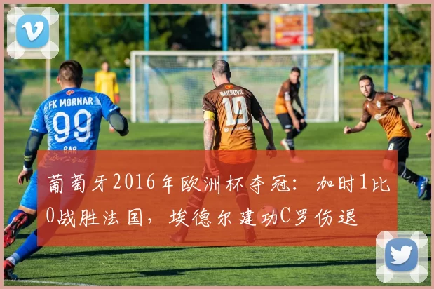 葡萄牙2016年欧洲杯夺冠:加时1比0战胜法国,埃德尔建功C罗伤退