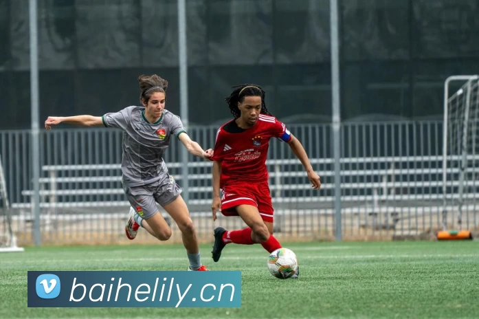 球友会在线登录 - 球友会(中国)平台生态图